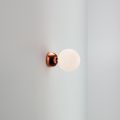 ABALLS WALL/CEILING LARGE